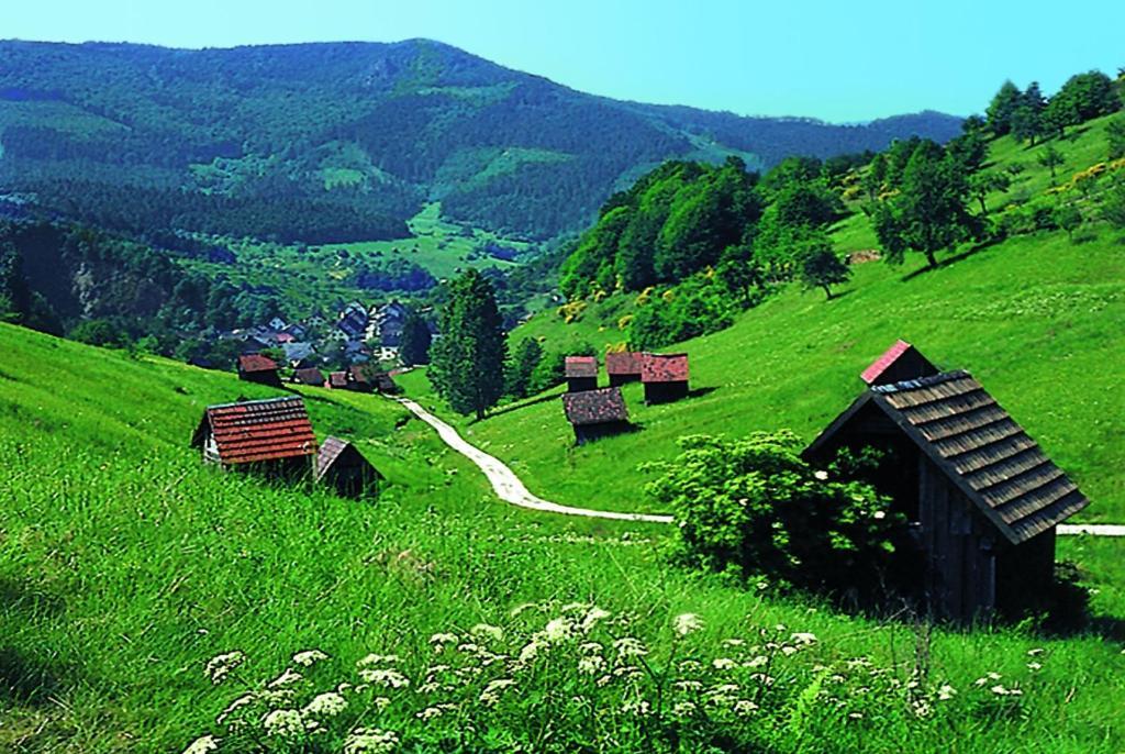 Hotel Schwanen Фройденштадт Экстерьер фото